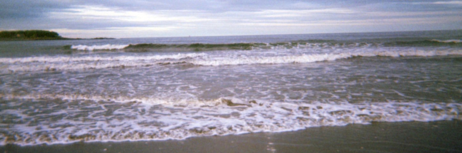 arditsbeth's profile banner image