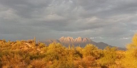TruckerBitch623's profile banner image