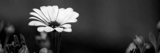 maranda22mm's profile banner image