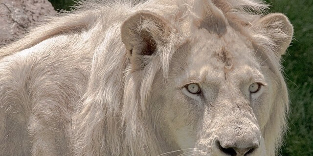 bogans_keith's profile banner image