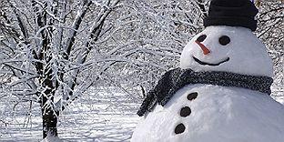 Sharon Martin banner