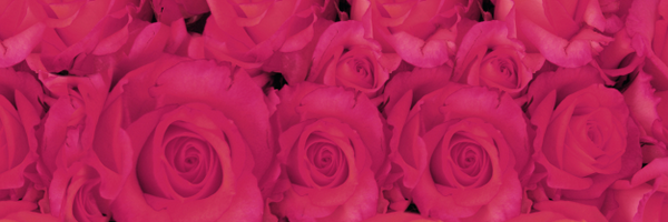 MarilynMonroe Profile Banner