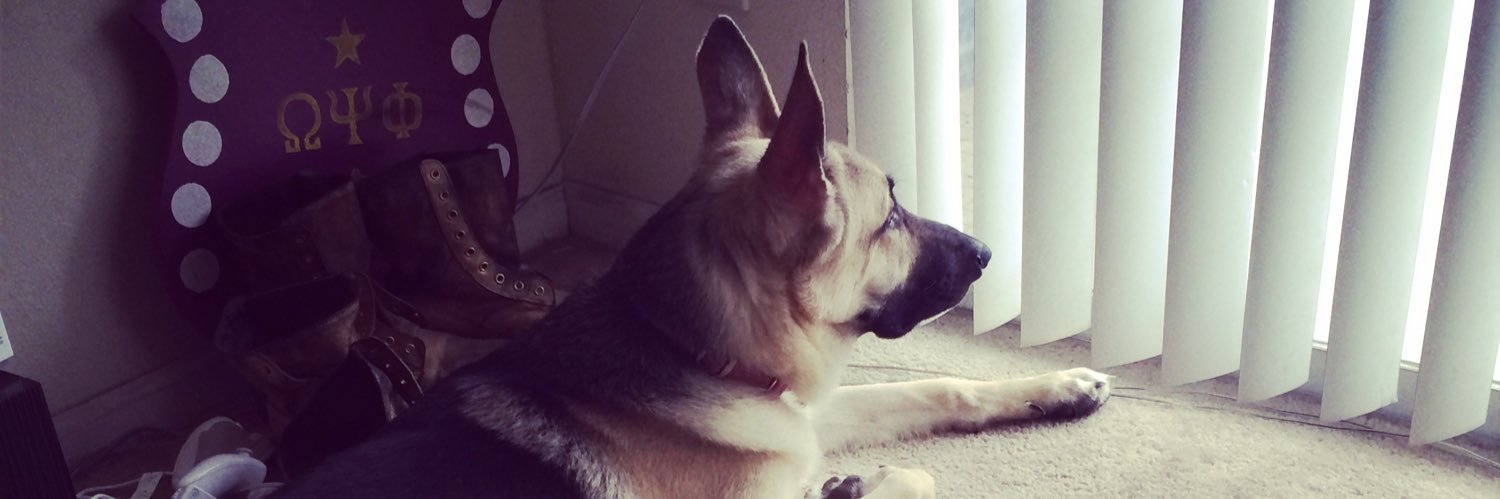 Chill Will ♠️ banner