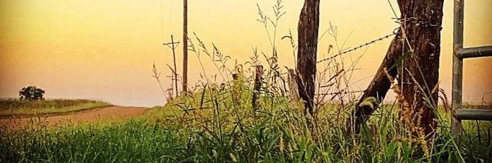 CrawfordAuction's profile banner image