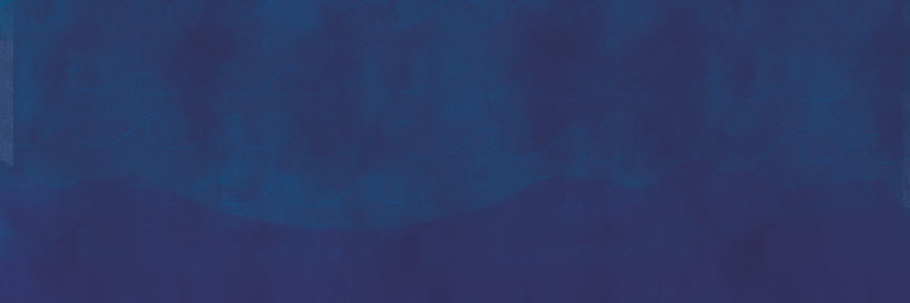 Rachel Zylstra banner