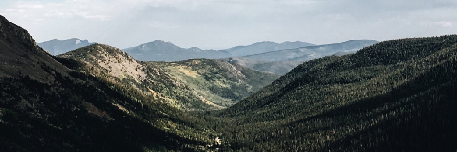 elquesostick's profile banner image