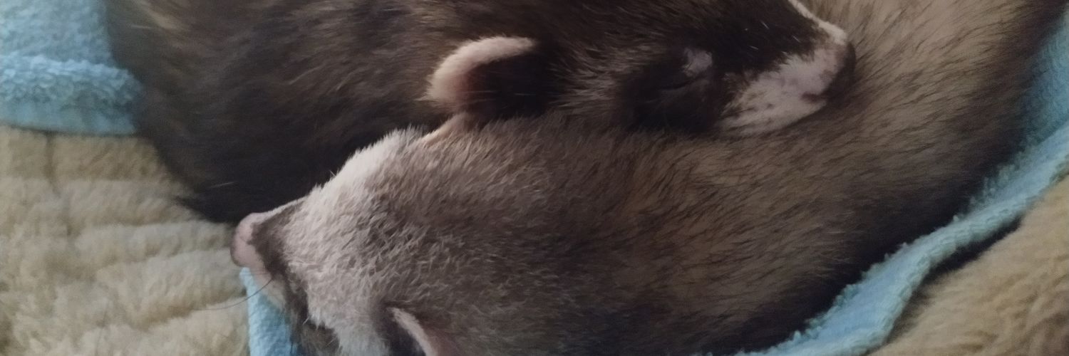 Manu 🇵🇸 banner