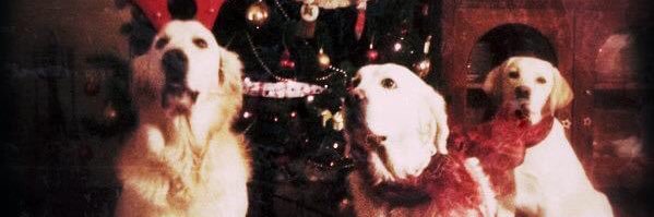 Mercedes 🇪🇸🏳️‍🌈⚫️🍉 banner