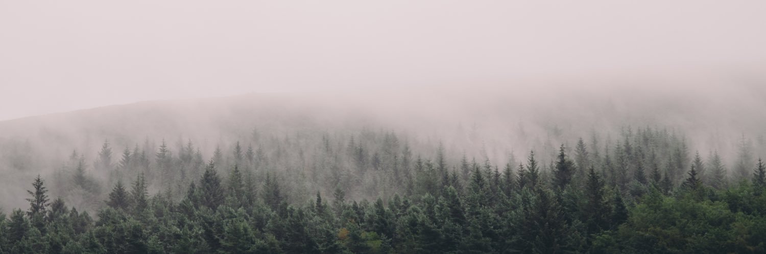 benroyals's profile banner image