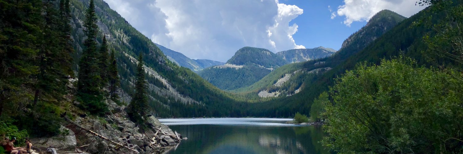 Melanie Starling Condon banner