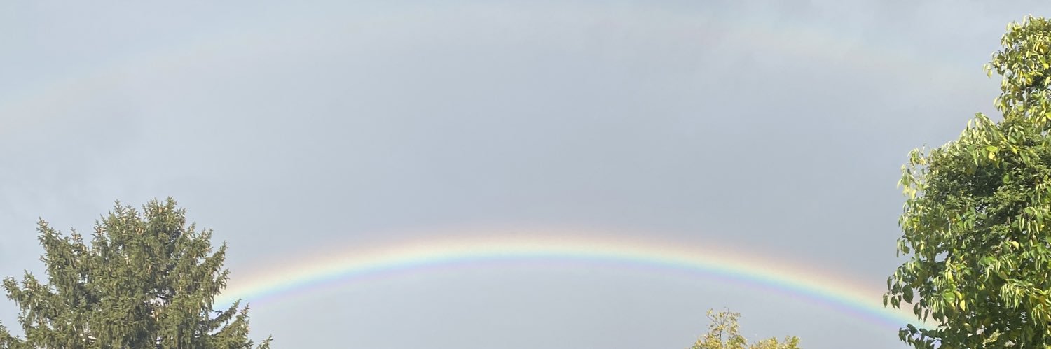 ninib2181's profile banner image