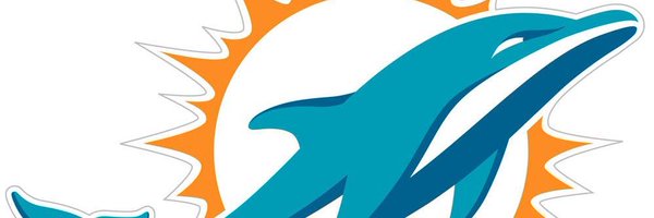 BrianCatNFL Profile Banner