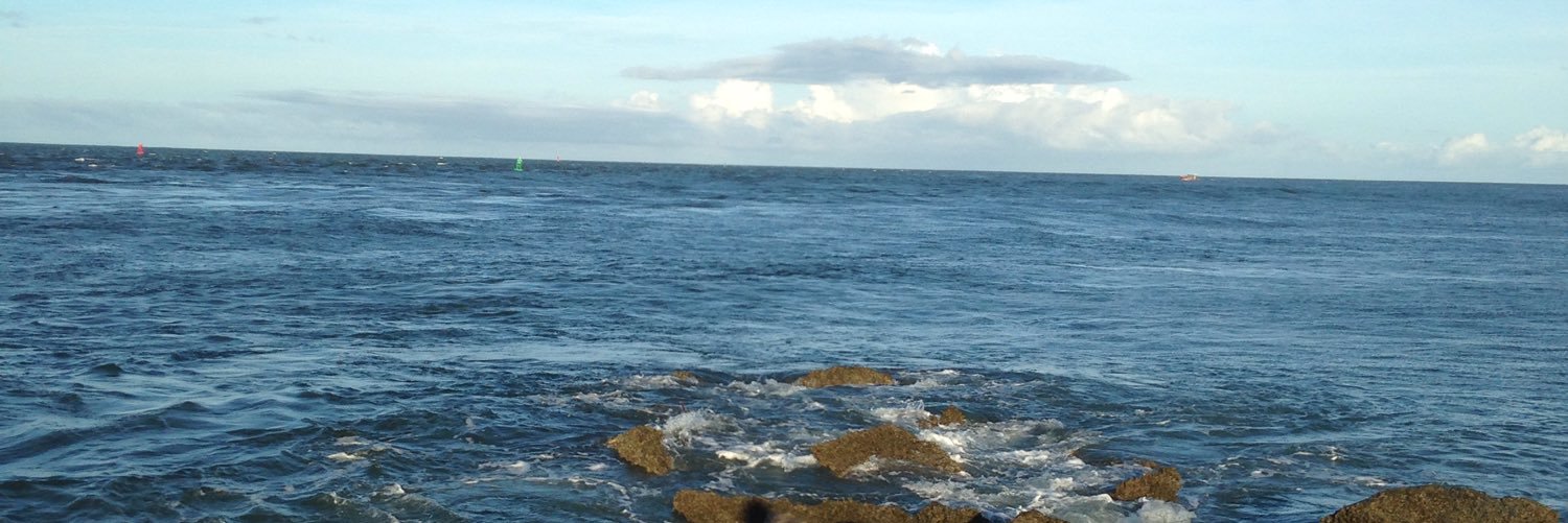 P3kjJ's profile banner image