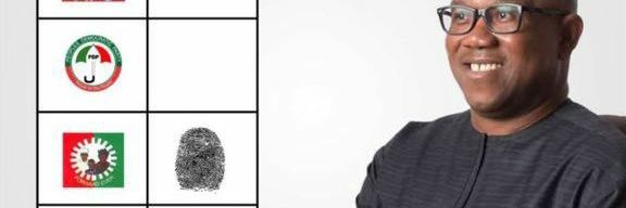 papatimi's profile banner image