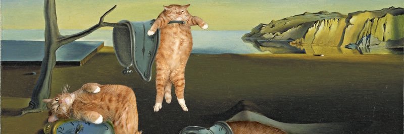 lucydivittorio's profile banner image