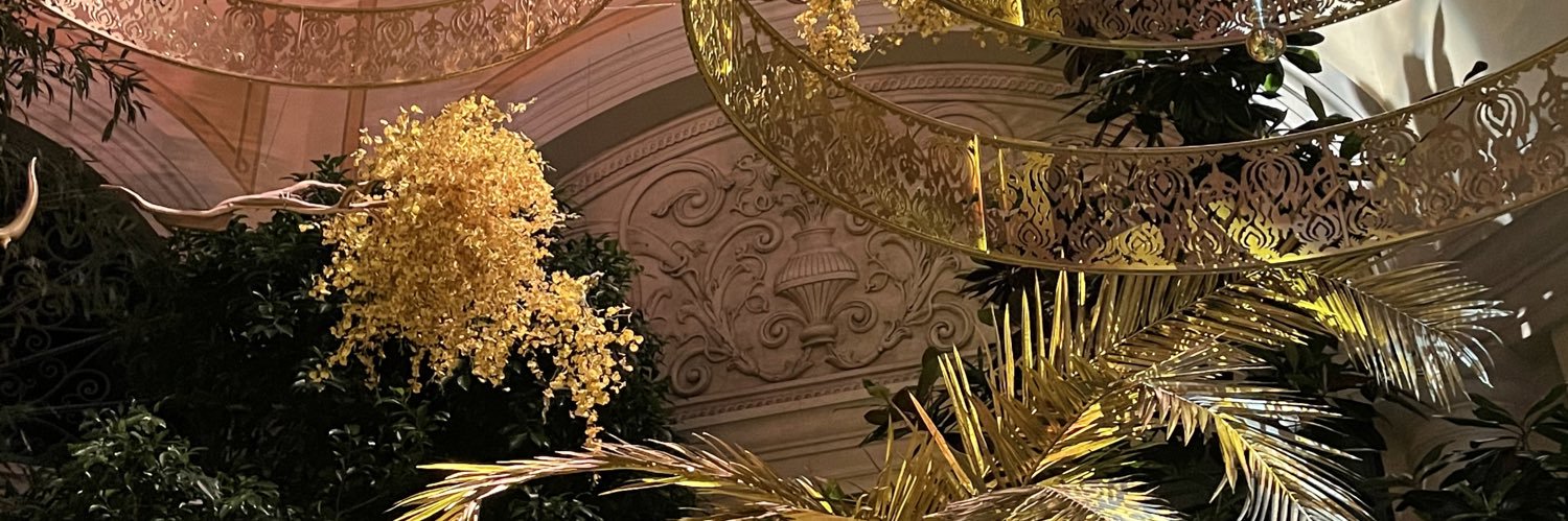 viewtifullex's profile banner image