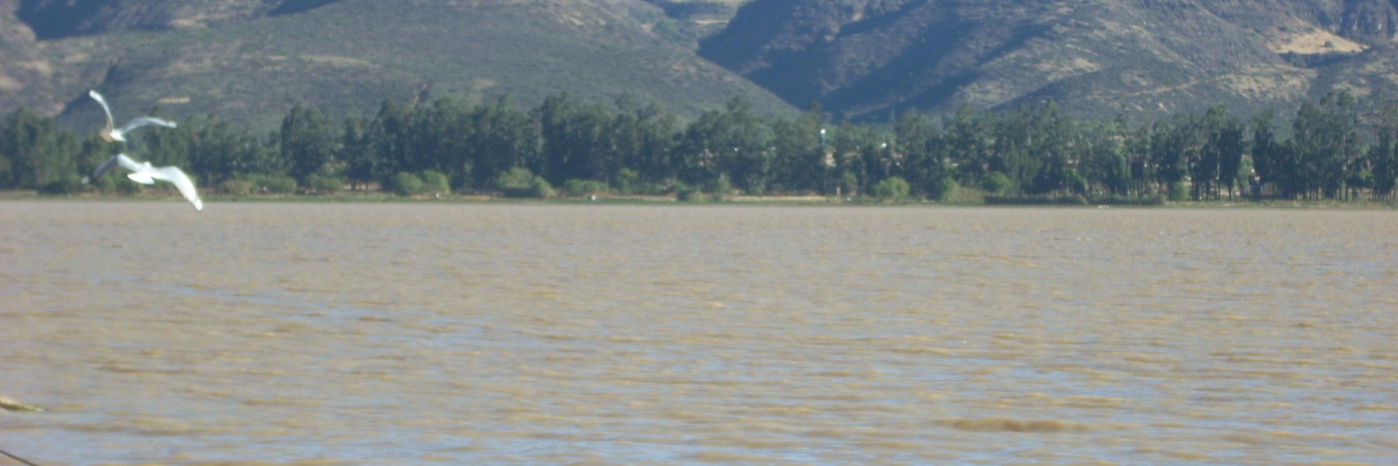 pajsicreciente's profile banner image