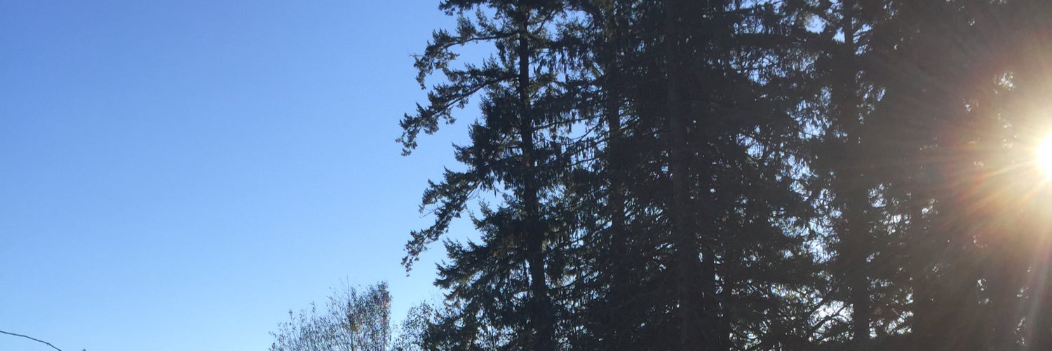 adam_duttry's profile banner image