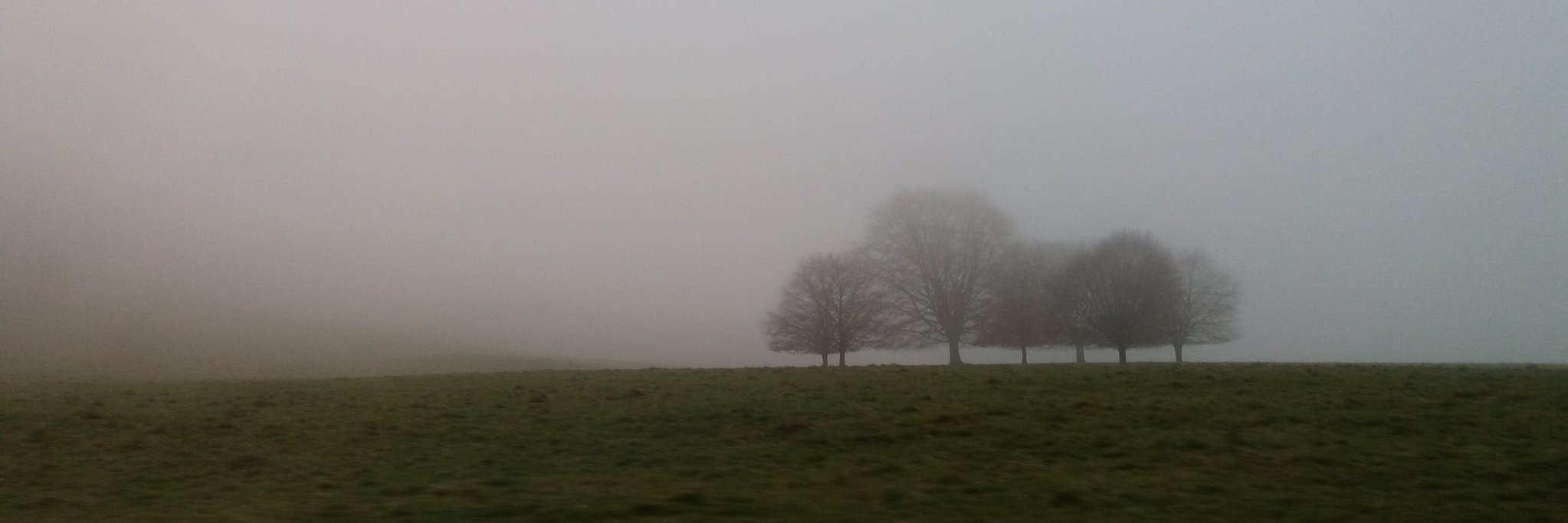 Finkle is Einhorn banner