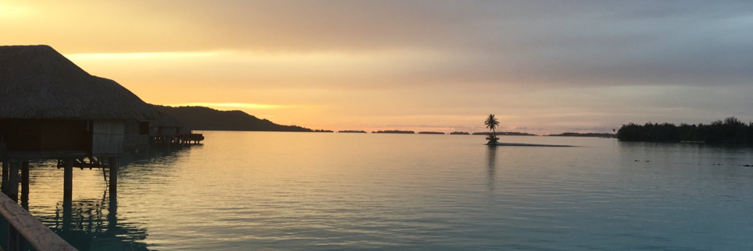 zpogust's profile banner image