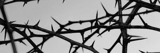 pame__as's profile banner image