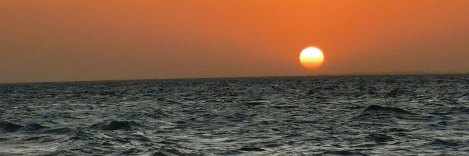 _sdnp's profile banner image