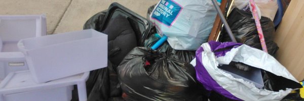 Declutter_Queen Profile Banner