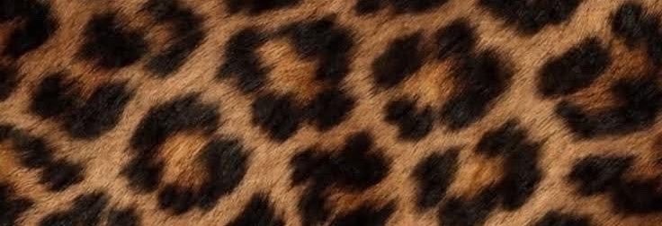 mariahbrenaye's profile banner image