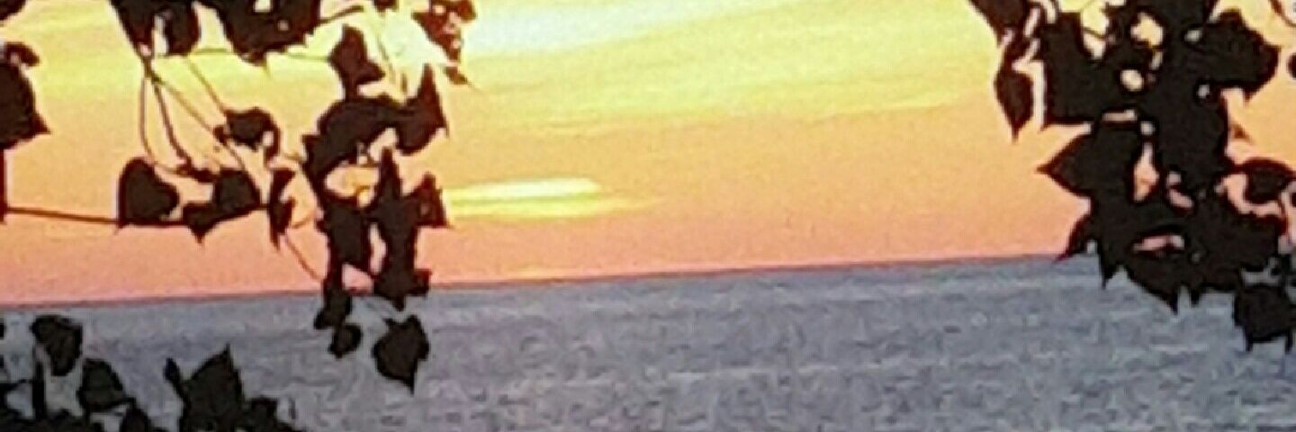 Whoa_Its_Haley's profile banner image