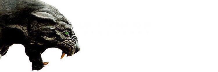 bongsm's profile banner image