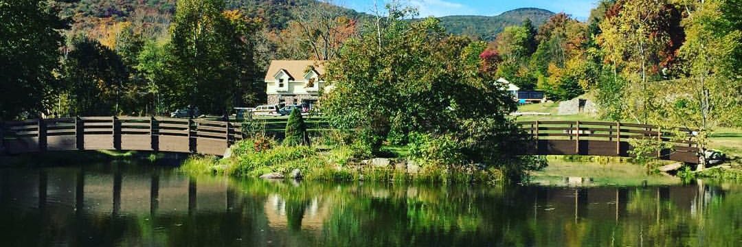 Jennifer Calendrillo banner