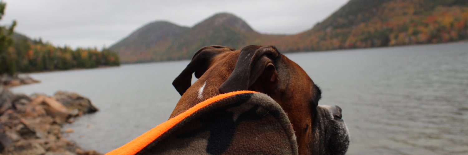 cariwad's profile banner image