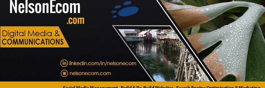 nelsonecom's profile banner image