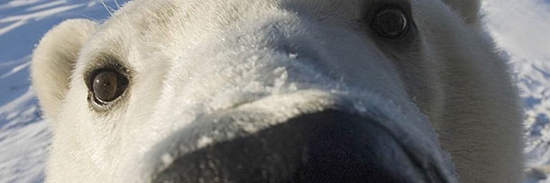 TheDanielAdame's profile banner image