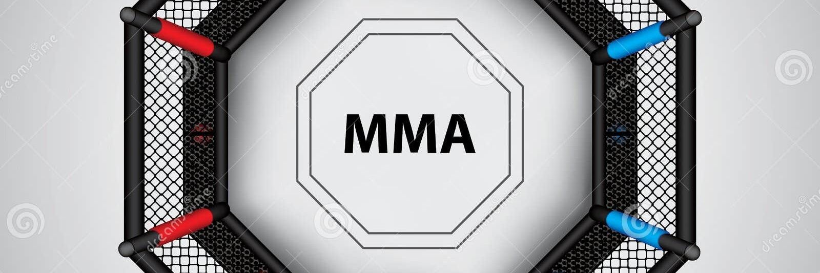 Spenser Arundel banner