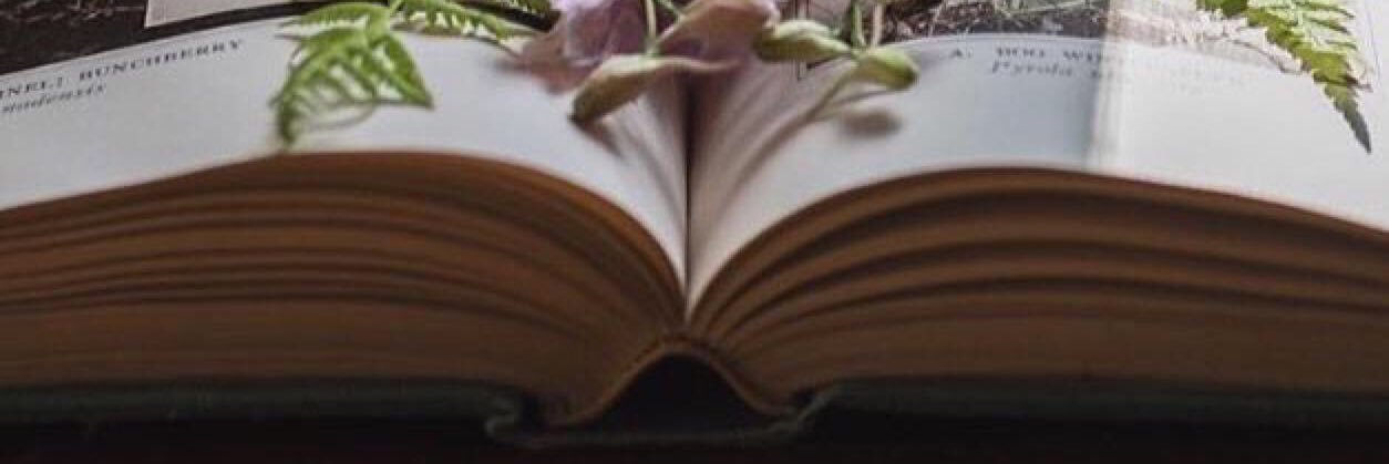 No_next1's profile banner image