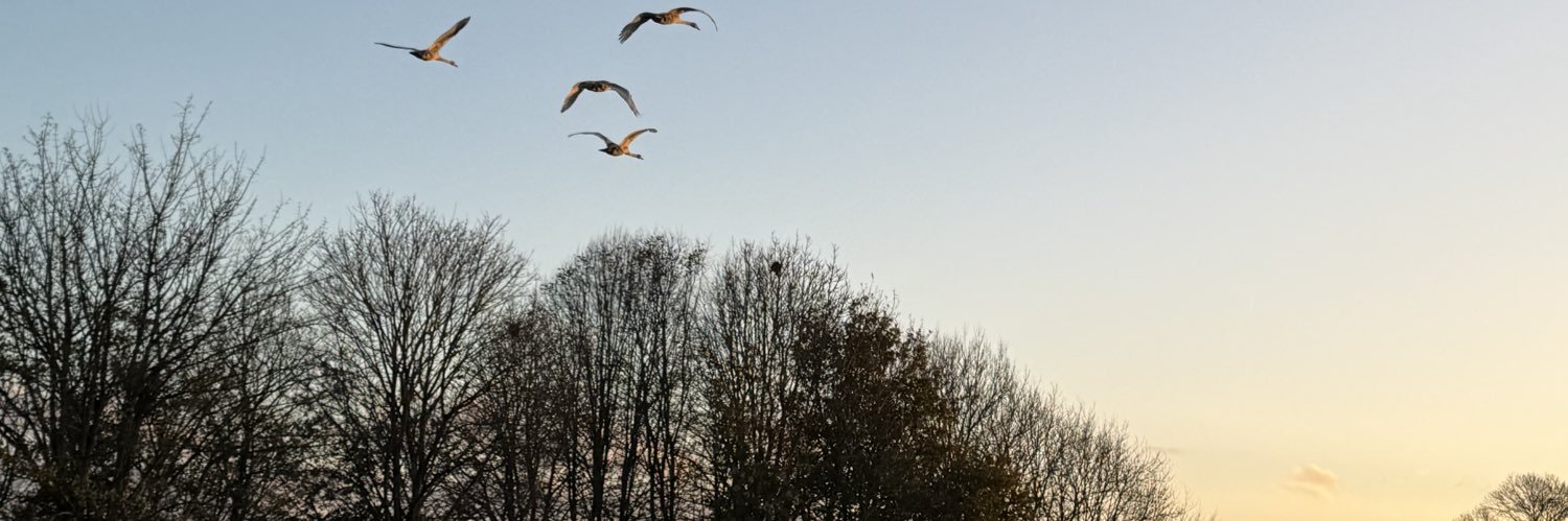 _tomgriff's profile banner image