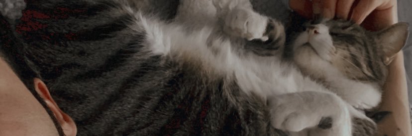 csar_sinlae's profile banner image