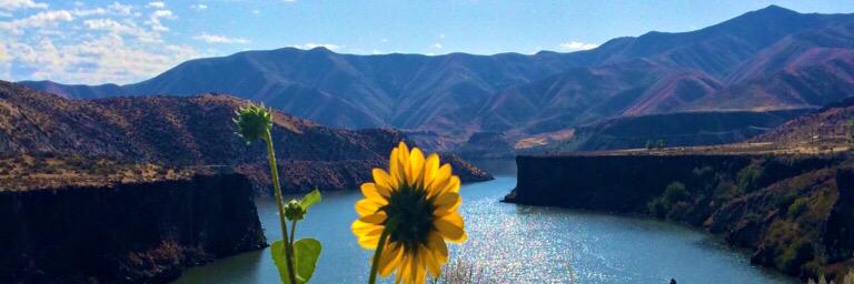 TaYLord_focker's profile banner image