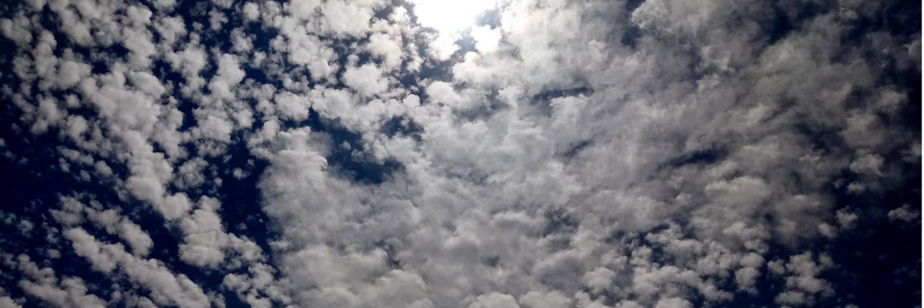 TaniaDeRoca's profile banner image