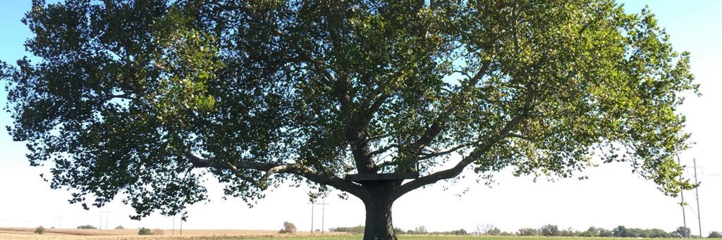 colleenbluhm's profile banner image