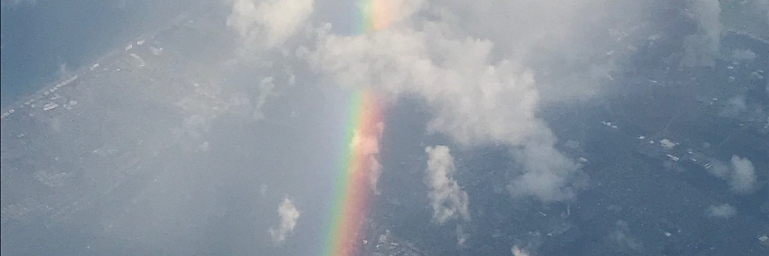 TayForcelli's profile banner image