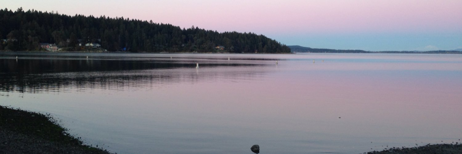 Sarah_Wark's profile banner image