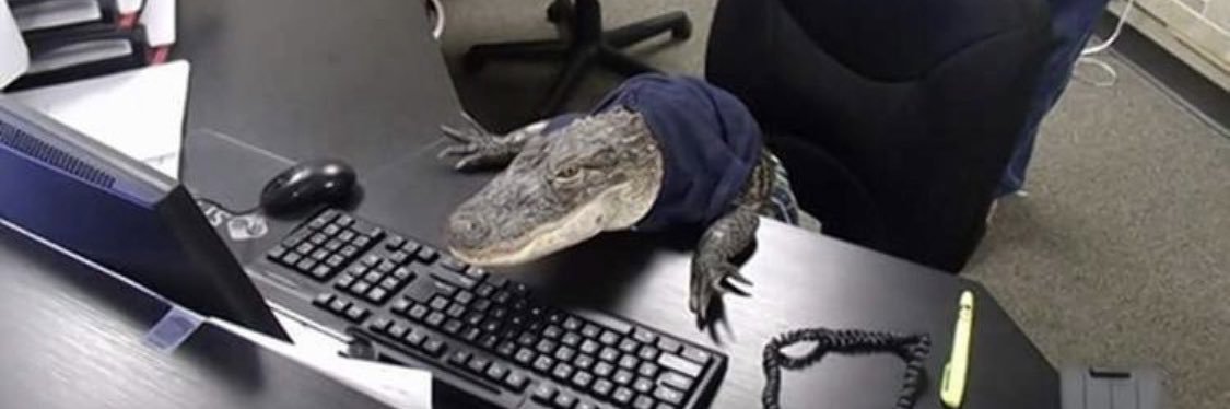 T_Fron's profile banner image