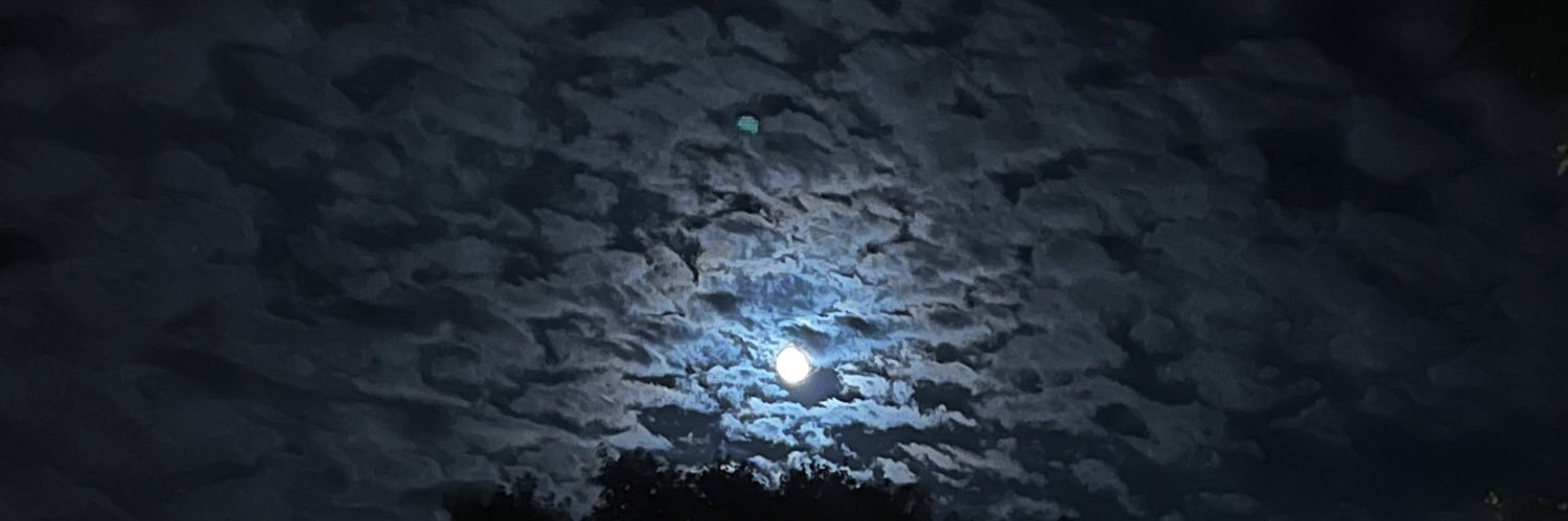 Maxx_Hamilton's profile banner image