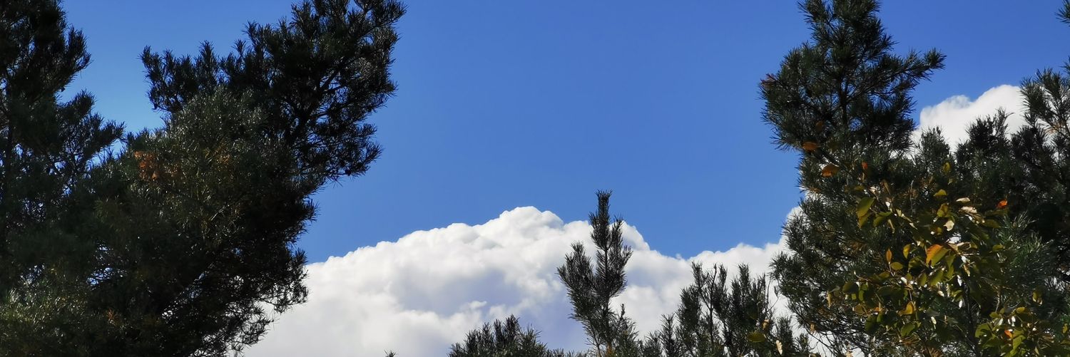 doesntfeelhood's profile banner image