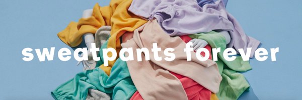 EricaForNY Profile Banner