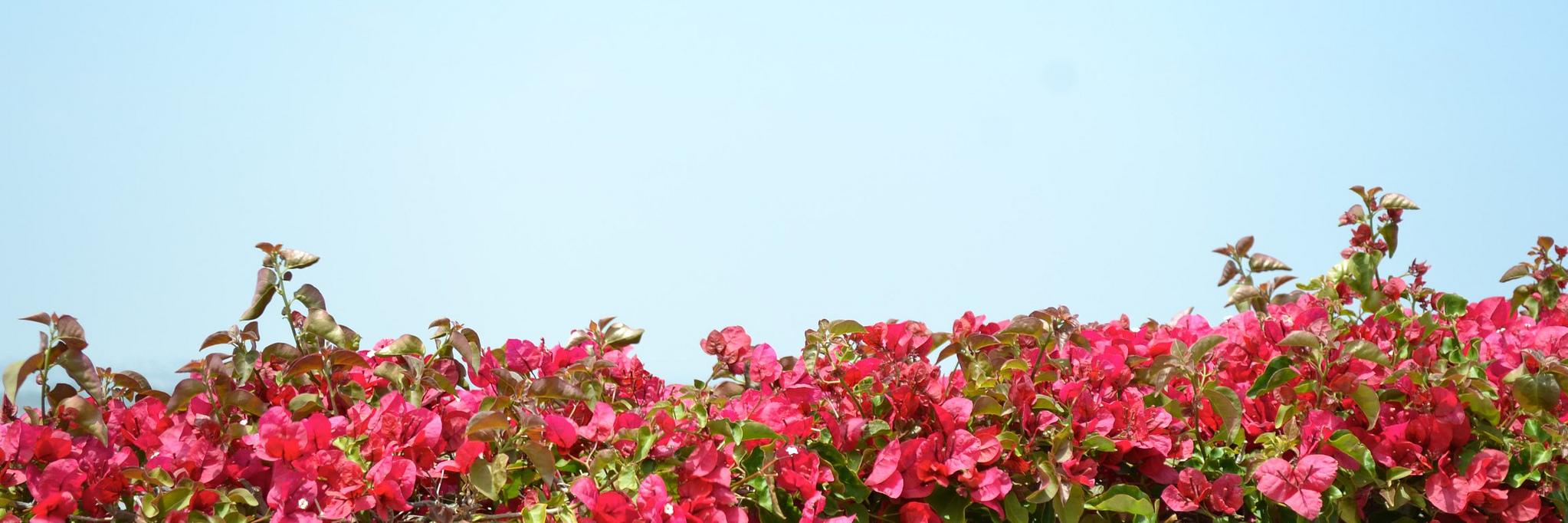 julesbrg's profile banner image