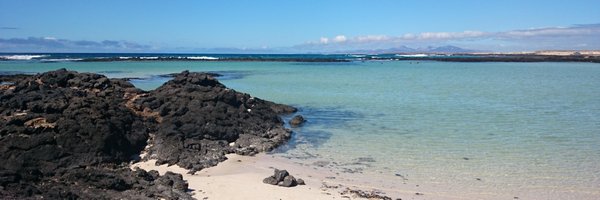 DrLisaCowap Profile Banner