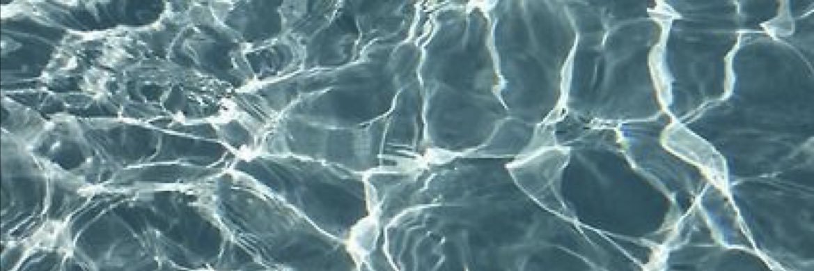LisaPiannini's profile banner image